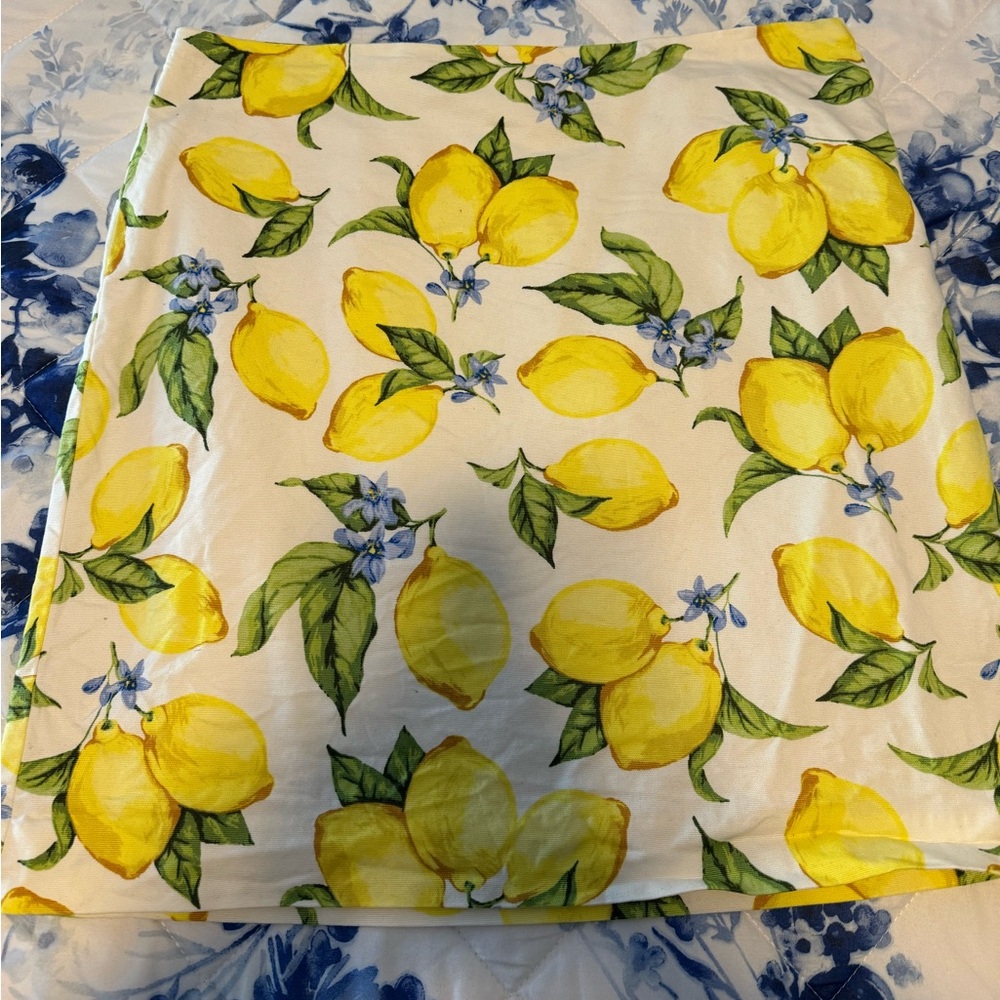 Talbots skirt